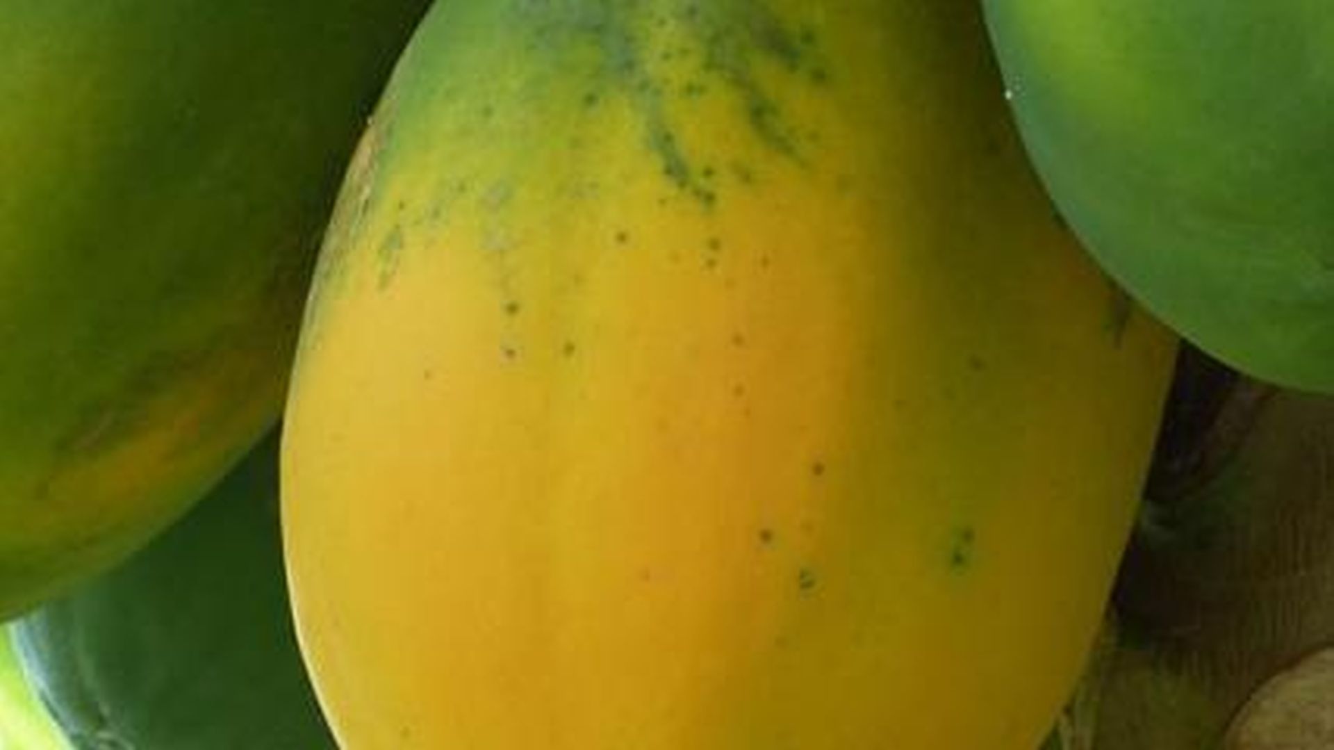 Namibia Cibi e frutta papaya