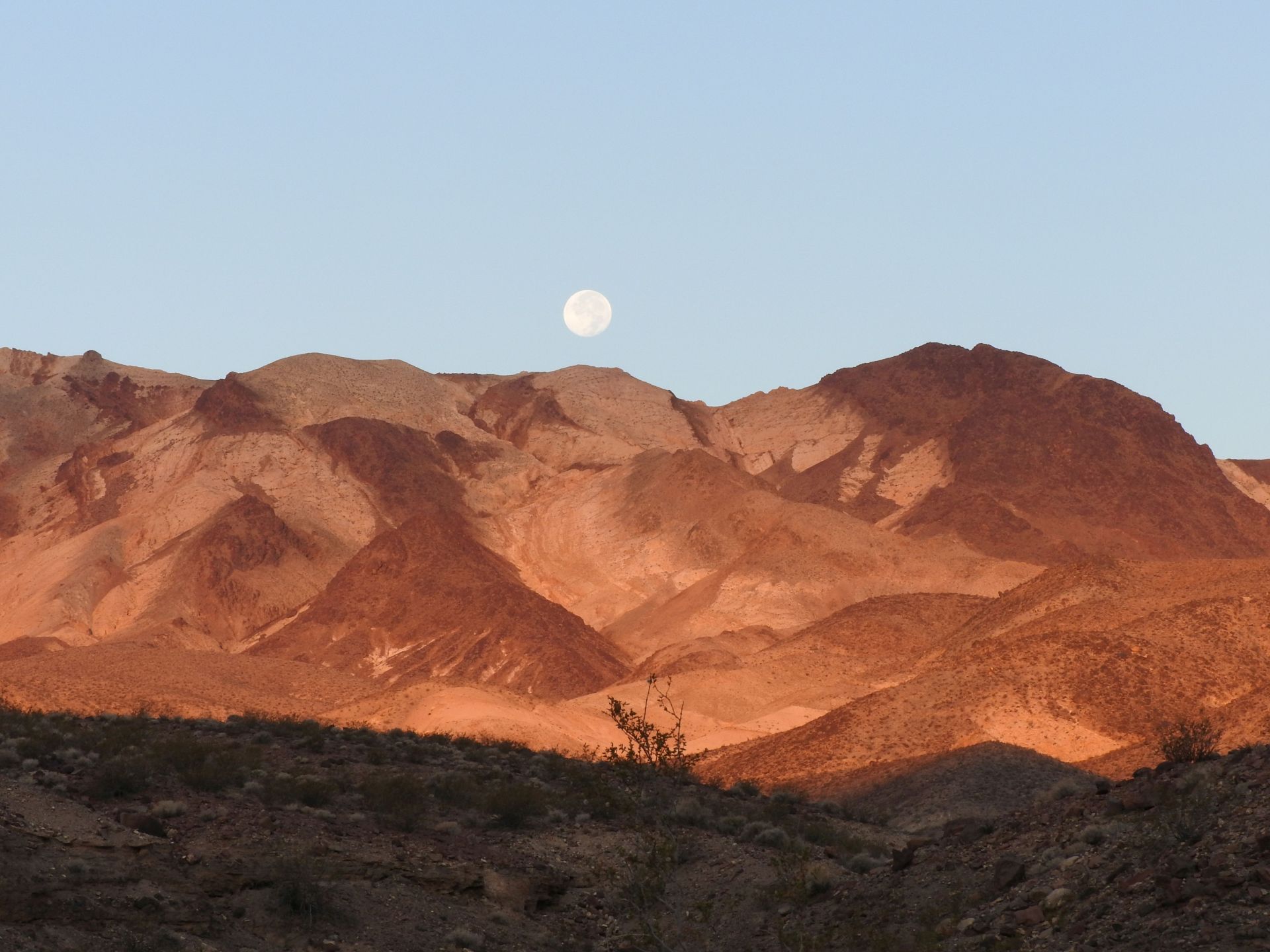 Usa Parchi California